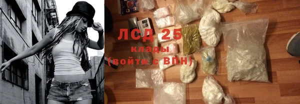 прущие грибы Нягань