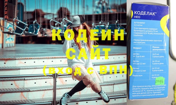 индика Няндома