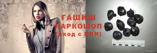 индика Няндома