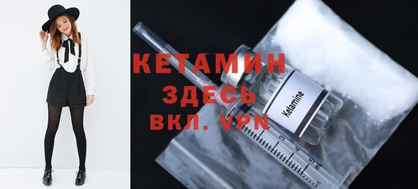 индика Няндома