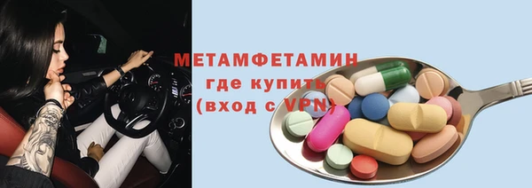 индика Няндома