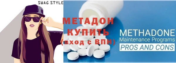 индика Няндома