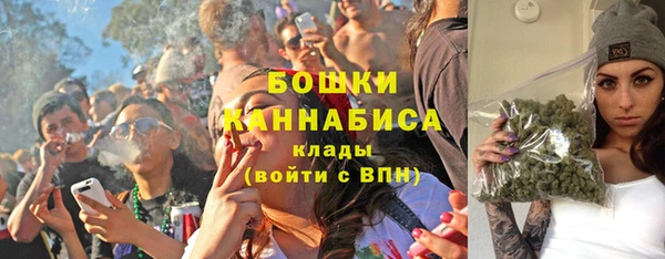 индика Няндома