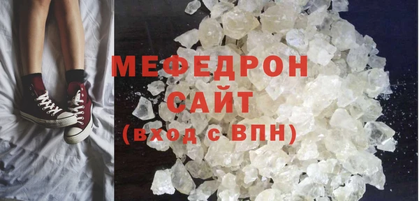 индика Няндома