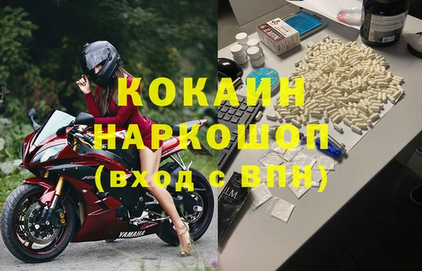 индика Няндома