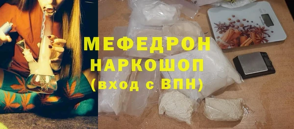 индика Няндома