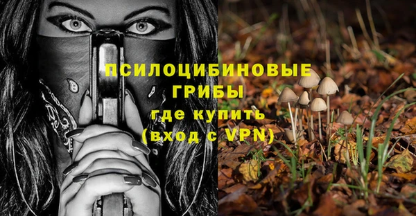 прущие грибы Нягань
