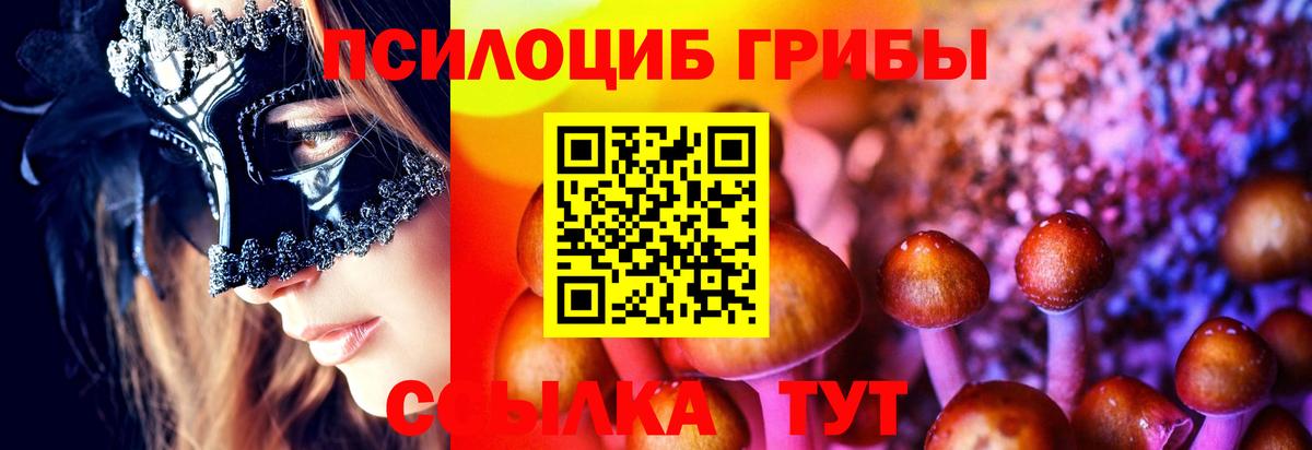 Галлюциногенные грибы мицелий Коркино
